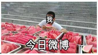 吃瓜前线全部,揭秘娱乐圈最新热点事件