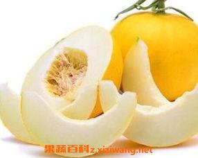 吃伊丽莎白瓜上火吗,美味解暑还是上火隐患?