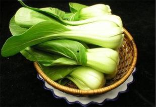 新有菜吃瓜,探索美食与娱乐的跨界融合