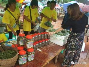 自贡吃瓜群众事件,网络舆论的狂欢与反思