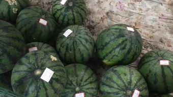 扫码关注吃瓜,解锁吃瓜新姿势!