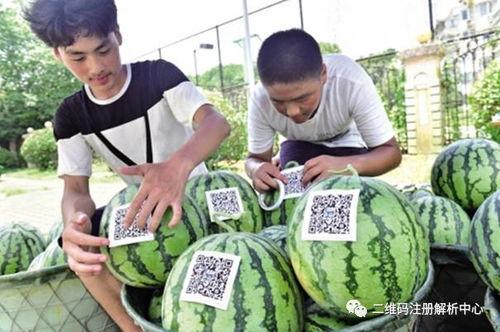 河南信阳吃瓜群众,揭秘信阳吃瓜群众的独特魅力