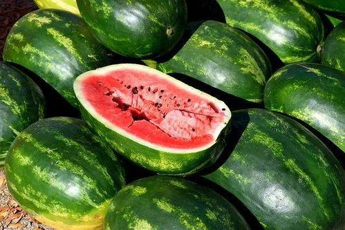 吃瓜摄影片,捕捉夏日瓜香时光