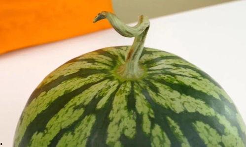 吃小绿瓜,舌尖上的清新诱惑