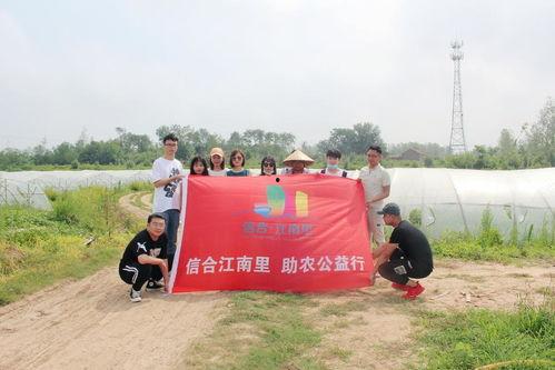 吃瓜信阳师范,信阳师范的校园风云录