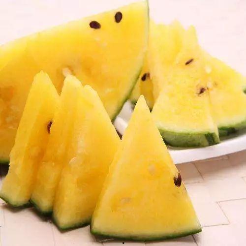 骚瓜吃了好吗怎么吃,探索骚瓜的多样吃法