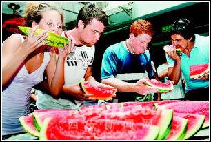 国外吃瓜比赛,一场别开生面的国际吃瓜大赛盛况全记录