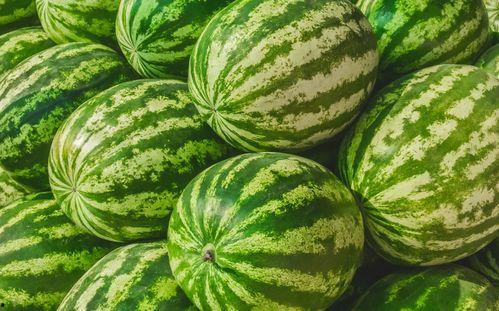 吃瓜路儿,一场全民参与的娱乐盛宴