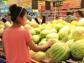 周公解梦梦见摘瓜买瓜吃,摘瓜买瓜吃背后的寓意与启示