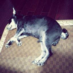 奥利不见了,探寻失踪儿童的背后故事