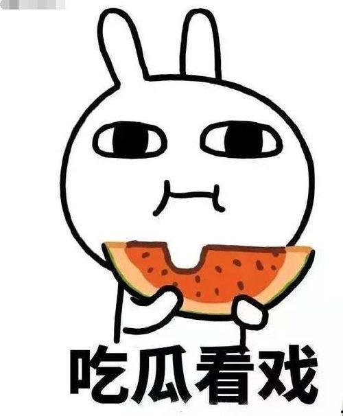 起诉娱乐吃瓜君的案件,揭秘网络舆论风波背后的法律较量